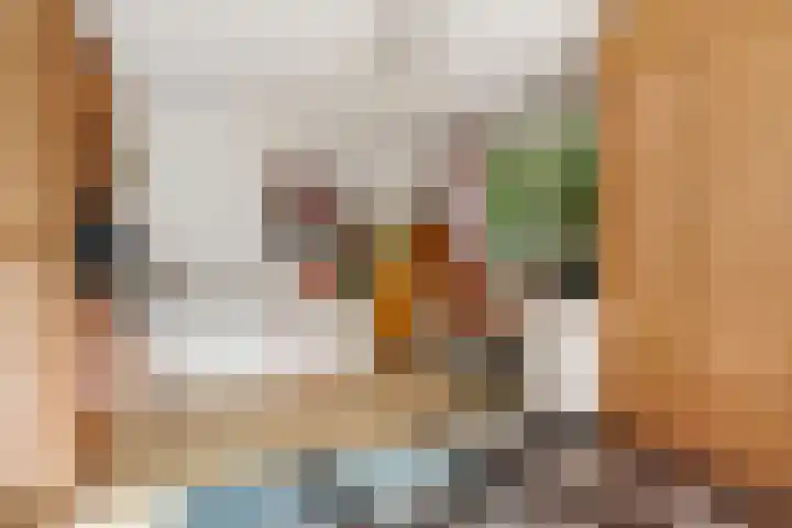 Sont 3 Hoofddorp thumbnail 12