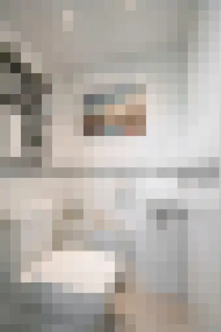 Sont 3 Hoofddorp thumbnail 15