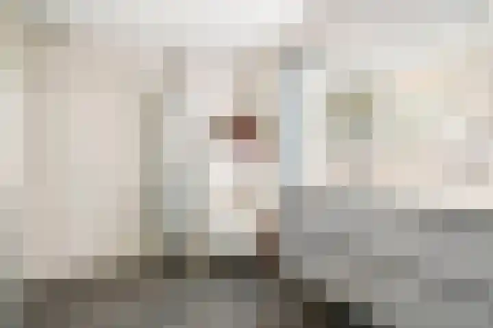 Sont 3 Hoofddorp thumbnail 25