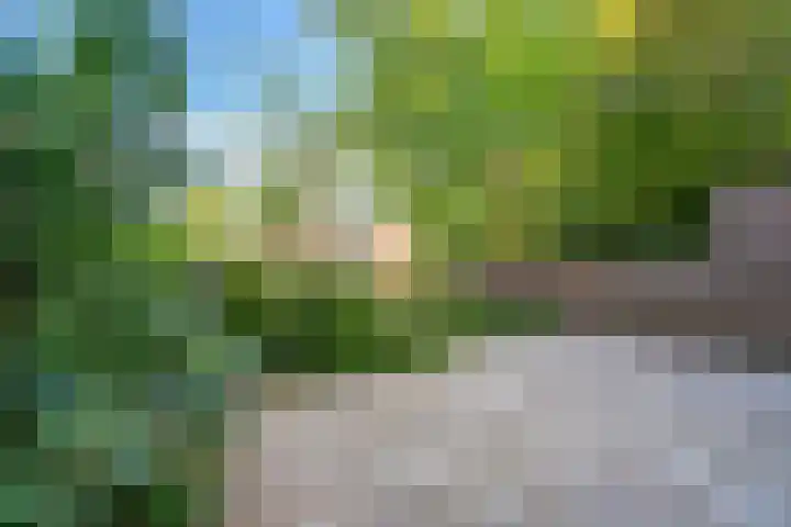 Sont 3 Hoofddorp foto 3