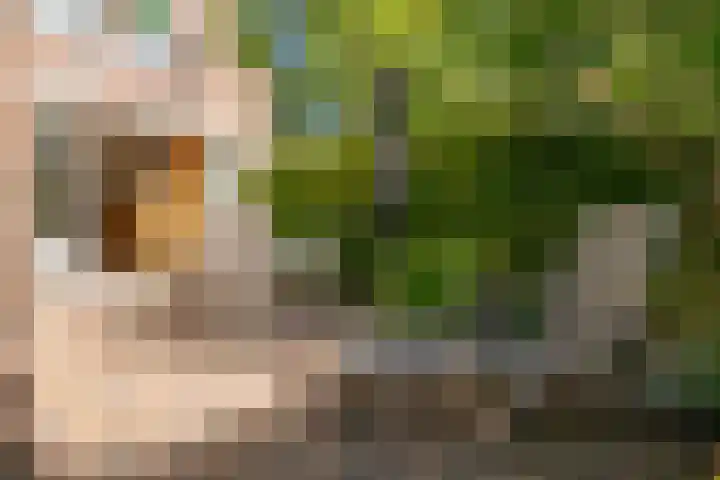 Sont 3 Hoofddorp thumbnail 32
