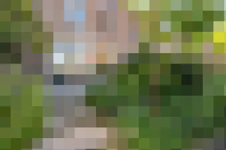 Sont 3 Hoofddorp thumbnail 35