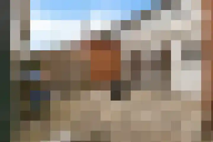 Sont 62 Delfzijl thumbnail 13