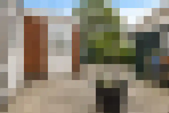 Sont 62 Delfzijl thumbnail 17