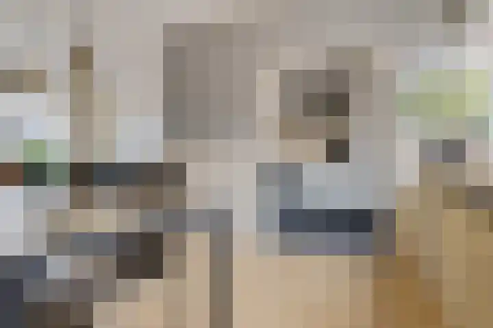 Sont 62 Delfzijl thumbnail 31