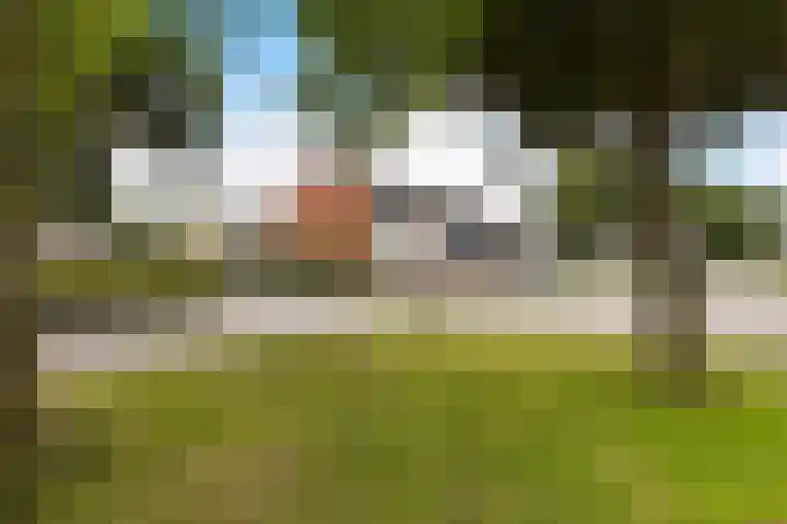 Sont 62 Delfzijl thumbnail 57