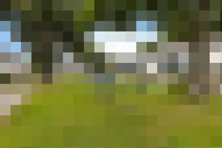 Sont 62 Delfzijl thumbnail 7