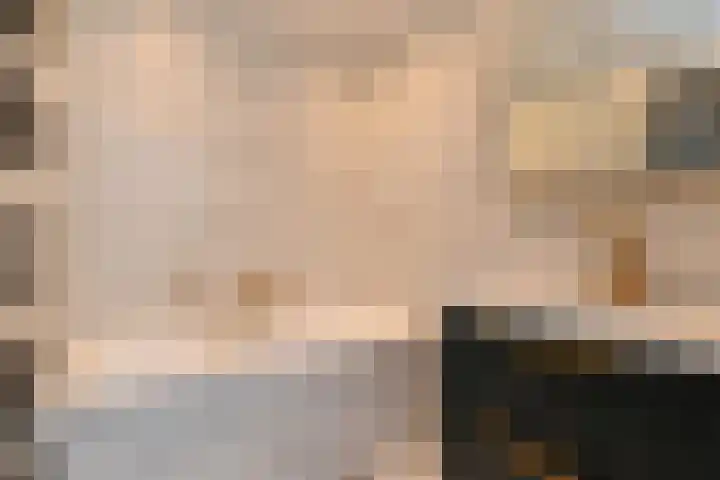 Sophiastraat 3 Pijnacker thumbnail 13