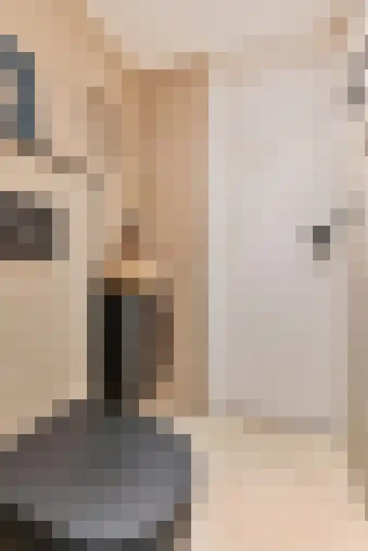 Sophiastraat 3 Pijnacker thumbnail 21