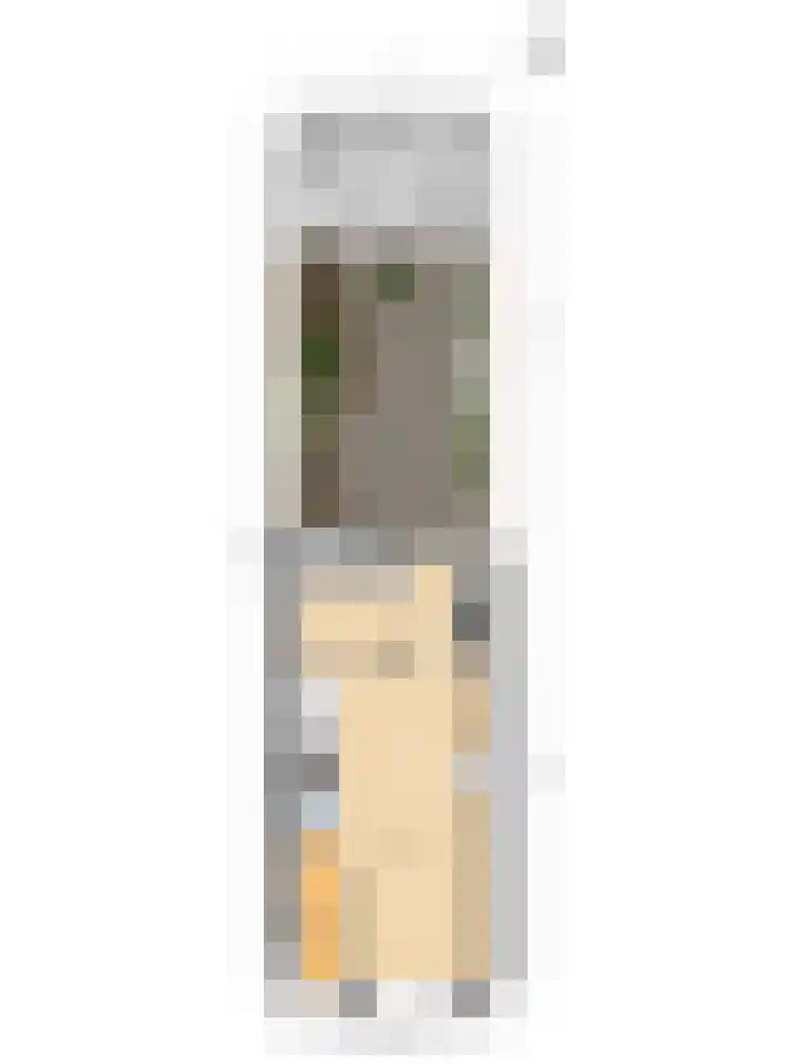 Sophiastraat 38 Pijnacker thumbnail 31