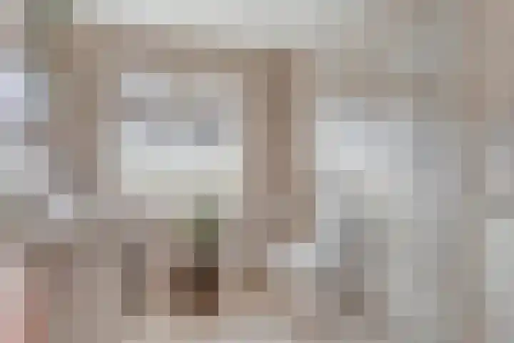 Sophiastraat 38 Pijnacker thumbnail 4