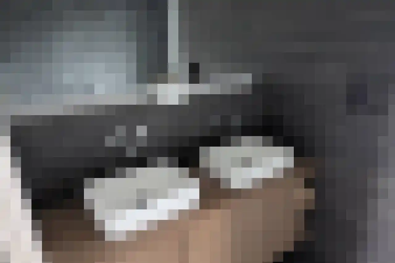 Sotterumerdijk 9 A Cornwerd thumbnail 10