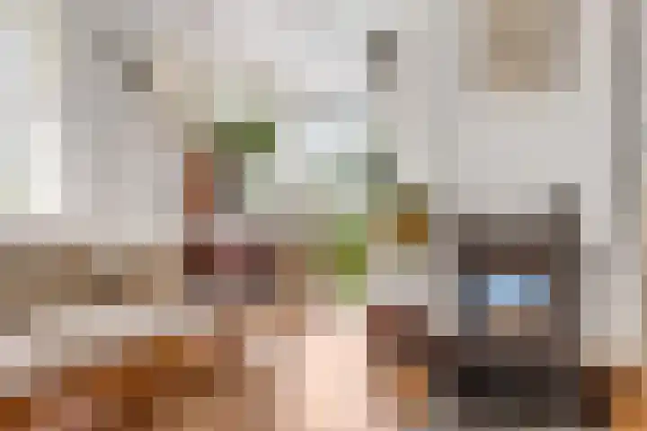 Sotterumerdijk 9 A Cornwerd thumbnail 12