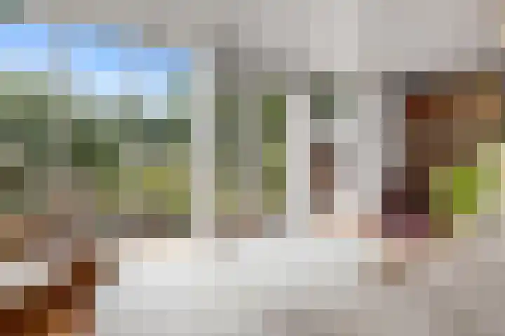 Sotterumerdijk 9 A Cornwerd thumbnail 13