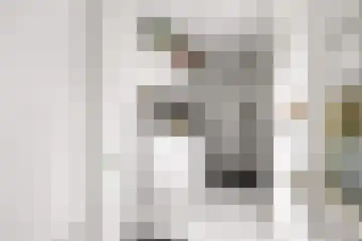 Sotterumerdijk 9 A Cornwerd thumbnail 17