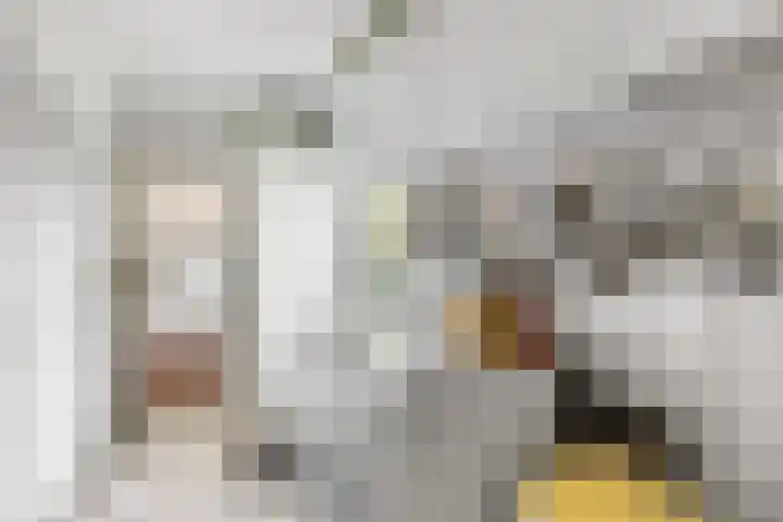 Sotterumerdijk 9 A Cornwerd thumbnail 18