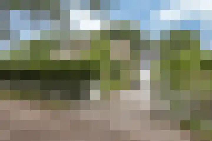 Sotterumerdijk 9 A Cornwerd foto 2