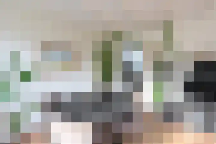 Sotterumerdijk 9 A Cornwerd thumbnail 20