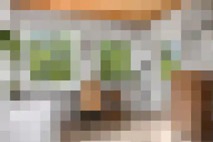 Sotterumerdijk 9 A Cornwerd thumbnail 22