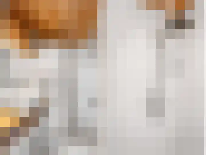 Sotterumerdijk 9 A Cornwerd thumbnail 23