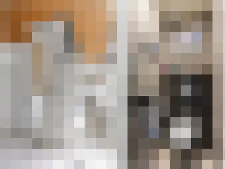 Sotterumerdijk 9 A Cornwerd thumbnail 24