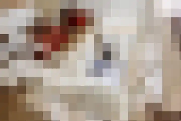 Sotterumerdijk 9 A Cornwerd thumbnail 25