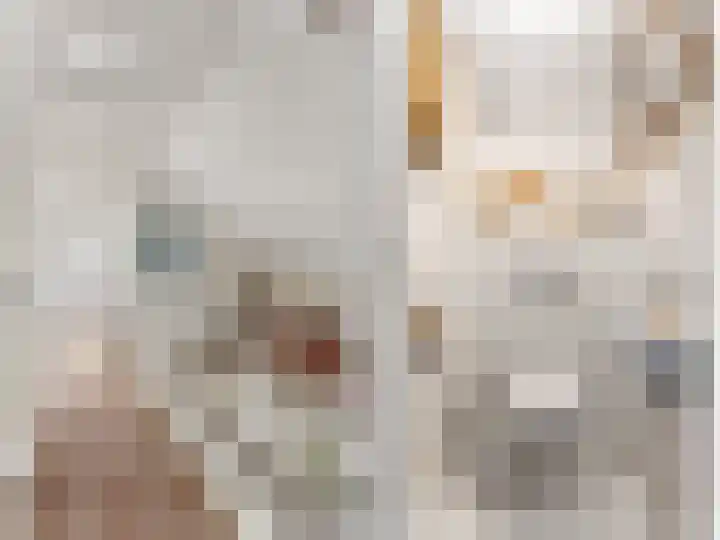 Sotterumerdijk 9 A Cornwerd thumbnail 27