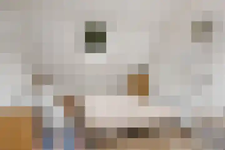 Sotterumerdijk 9 A Cornwerd thumbnail 28