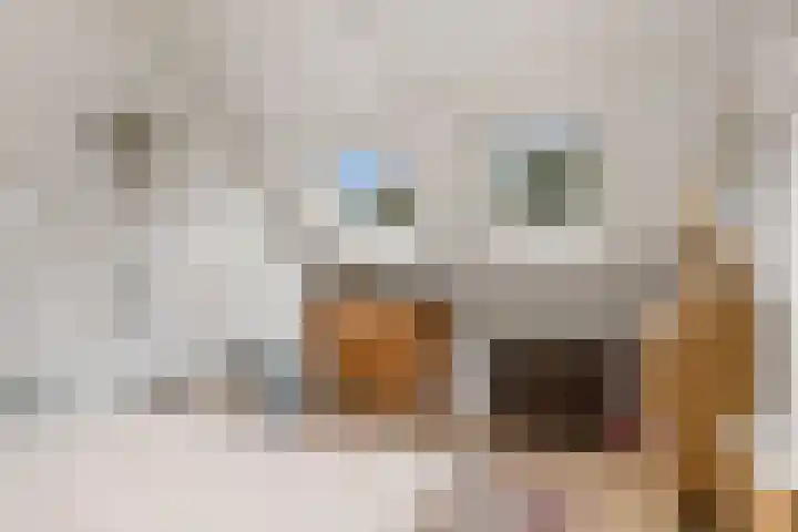 Sotterumerdijk 9 A Cornwerd thumbnail 29