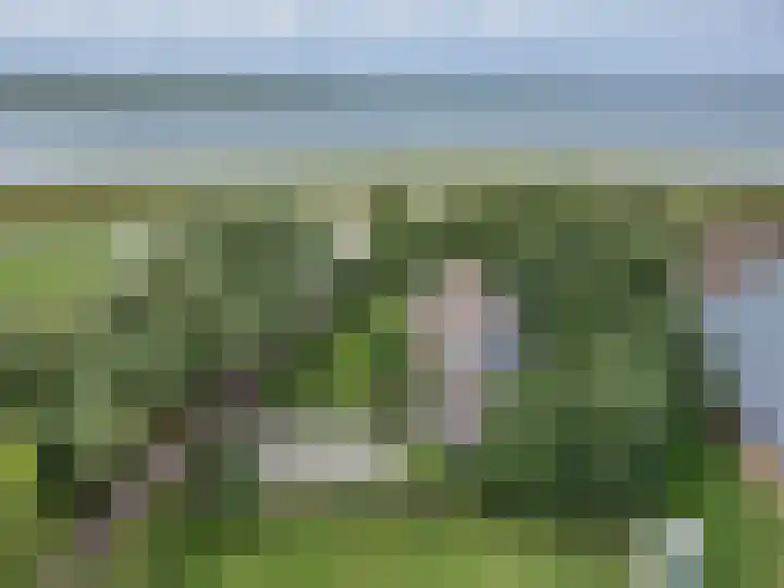 Sotterumerdijk 9 A Cornwerd foto 3