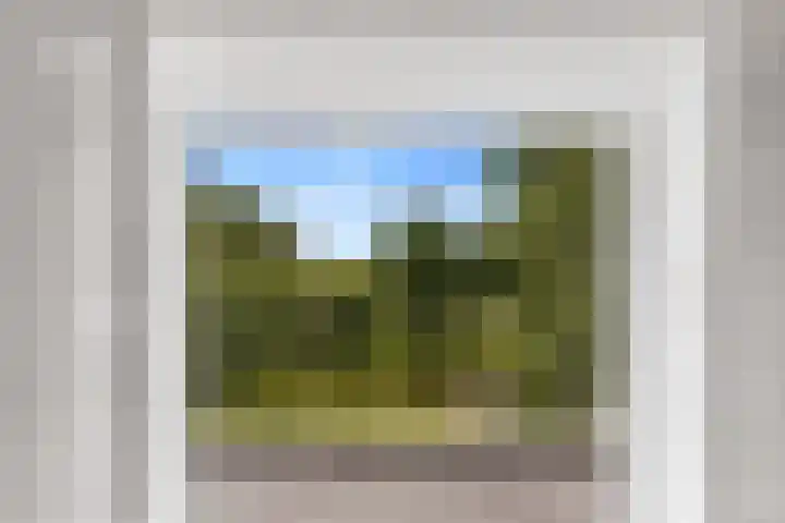 Sotterumerdijk 9 A Cornwerd thumbnail 31