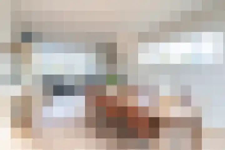 Sotterumerdijk 9 A Cornwerd thumbnail 33