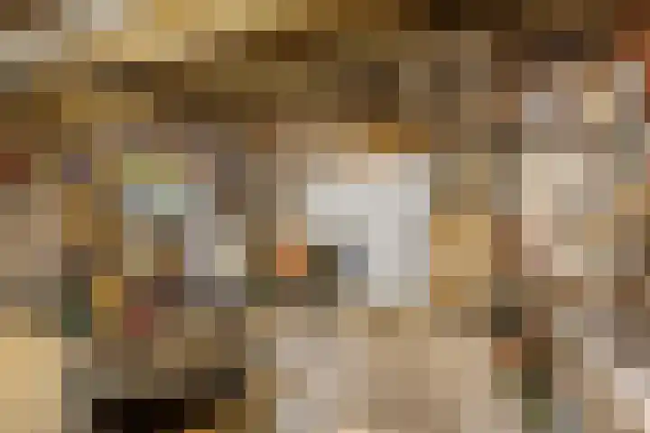 Sotterumerdijk 9 A Cornwerd thumbnail 33