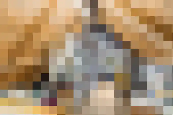 Sotterumerdijk 9 A Cornwerd thumbnail 35