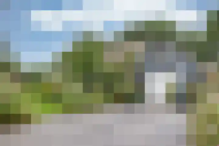 Sotterumerdijk 9 A Cornwerd thumbnail 36