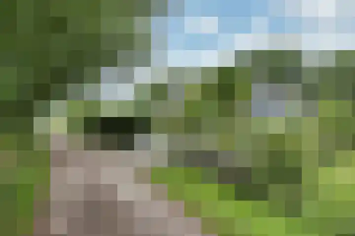 Sotterumerdijk 9 A Cornwerd thumbnail 37