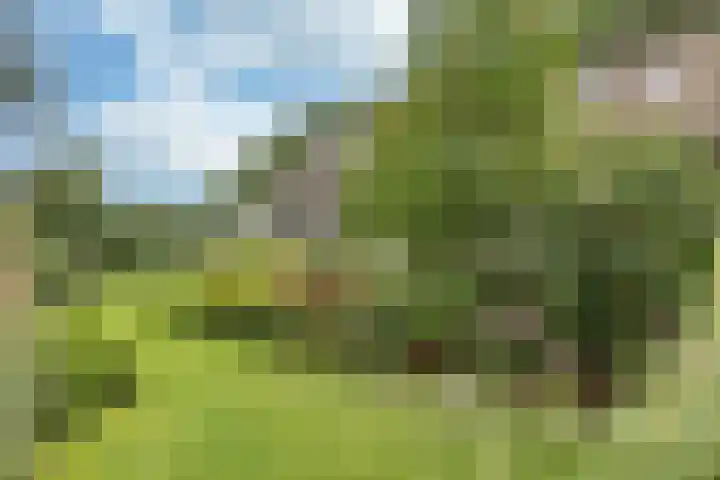 Sotterumerdijk 9 A Cornwerd thumbnail 38