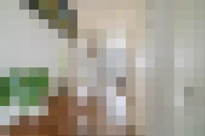 Sotterumerdijk 9 A Cornwerd thumbnail 39