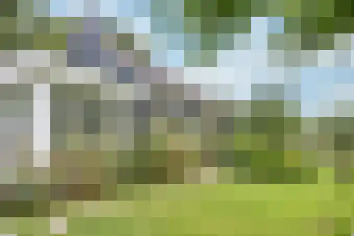 Sotterumerdijk 9 A Cornwerd thumbnail 39