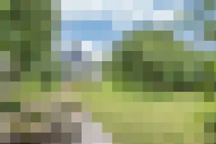 Sotterumerdijk 9 A Cornwerd thumbnail 4