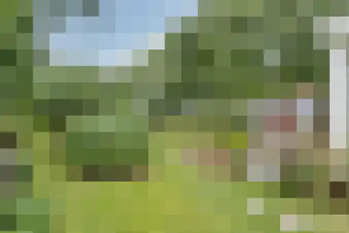 Sotterumerdijk 9 A Cornwerd thumbnail 40