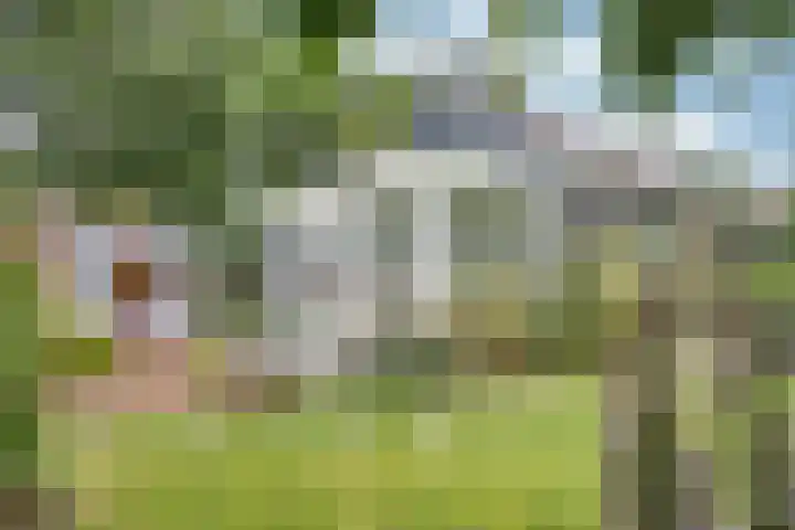 Sotterumerdijk 9 A Cornwerd thumbnail 41