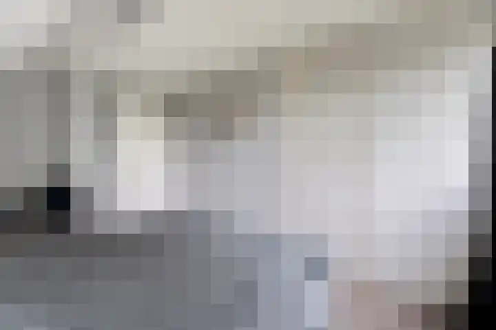 Sotterumerdijk 9 A Cornwerd thumbnail 42