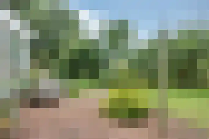 Sotterumerdijk 9 A Cornwerd thumbnail 42