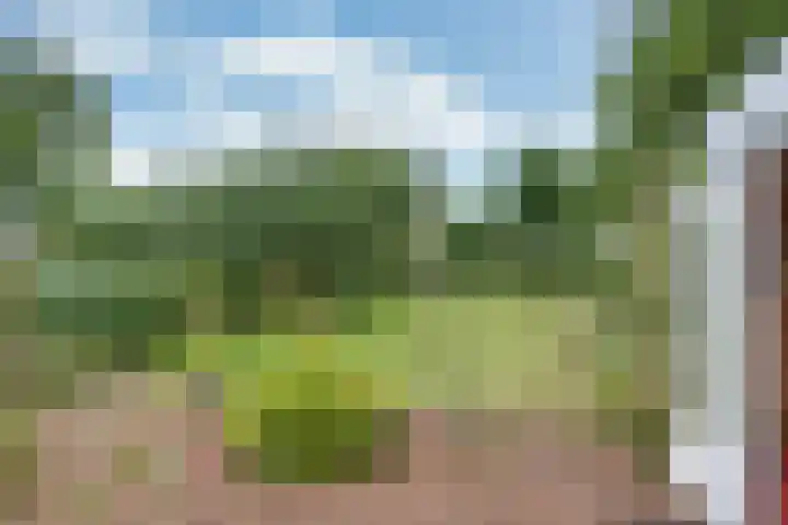 Sotterumerdijk 9 A Cornwerd thumbnail 43