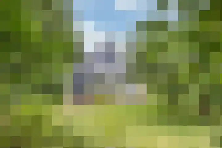 Sotterumerdijk 9 A Cornwerd thumbnail 44