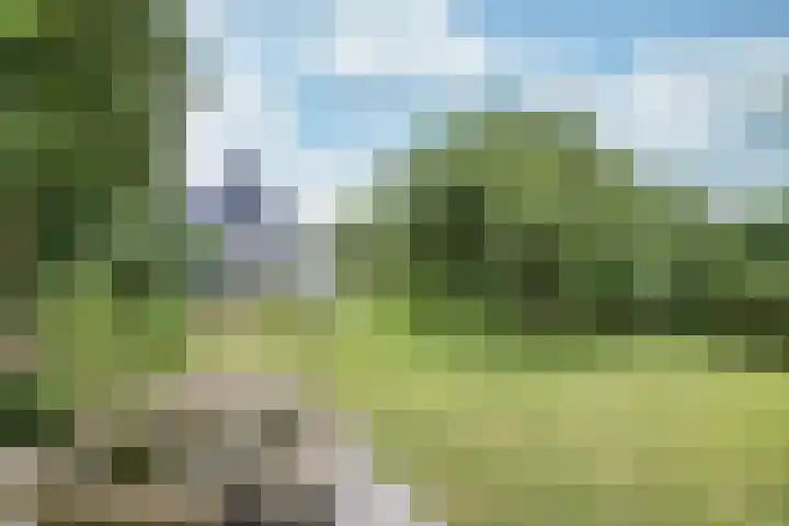 Sotterumerdijk 9 A Cornwerd thumbnail 45