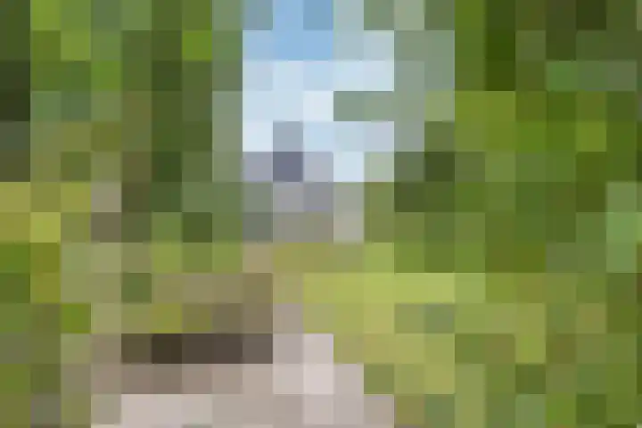 Sotterumerdijk 9 A Cornwerd thumbnail 46