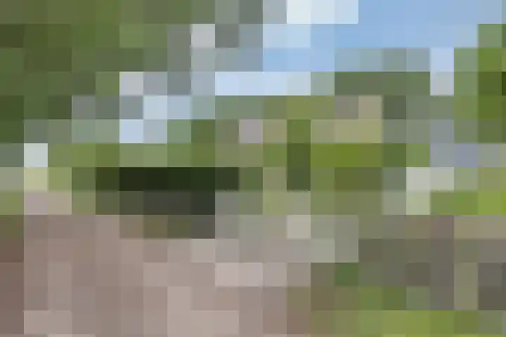 Sotterumerdijk 9 A Cornwerd thumbnail 47