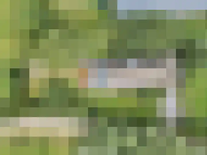 Sotterumerdijk 9 A Cornwerd thumbnail 48